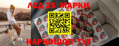 крисы Новокубанск