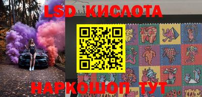 крисы Новокубанск