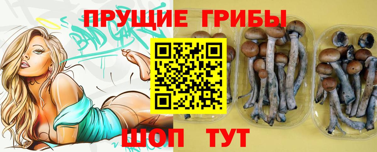 Галлюциногенные грибы прущие грибы  Вход с VPN  Галлюциногенные грибы ЛСД  Саянск 